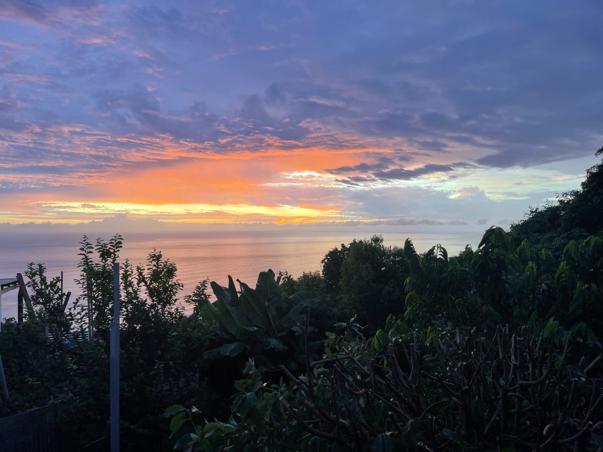 Pourquoi investir à La Réunion ?