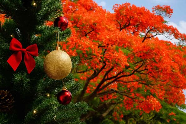 Prime de Noël édition 2025